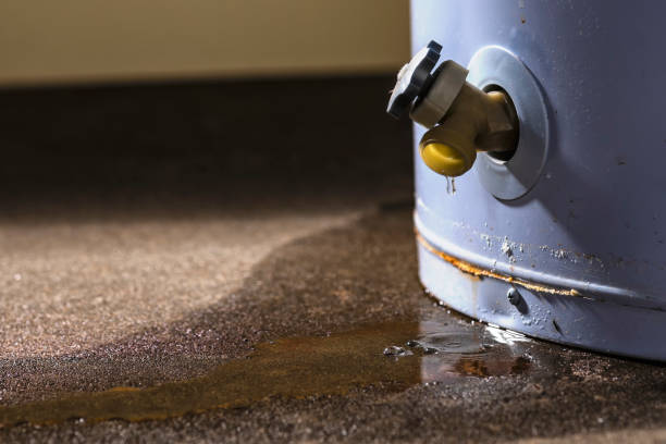Best Carpet water damage restoration  in Covington, VA