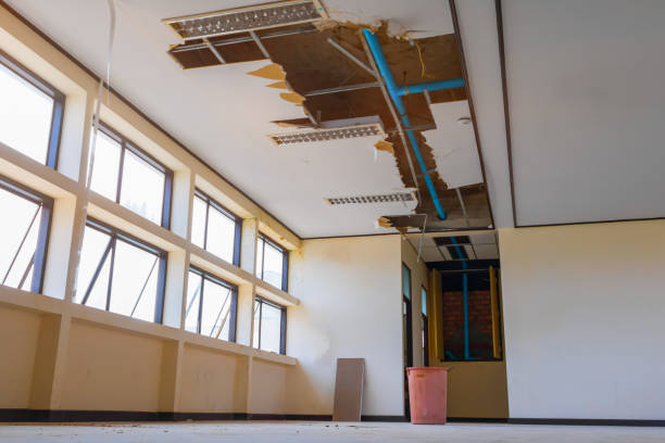 Best Mold removal after water damage  in Covington, VA