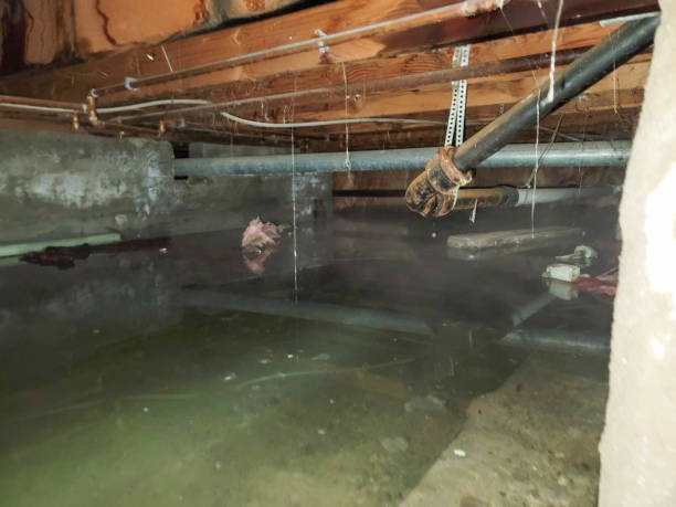  Covington, VA Water damage restoration Pros