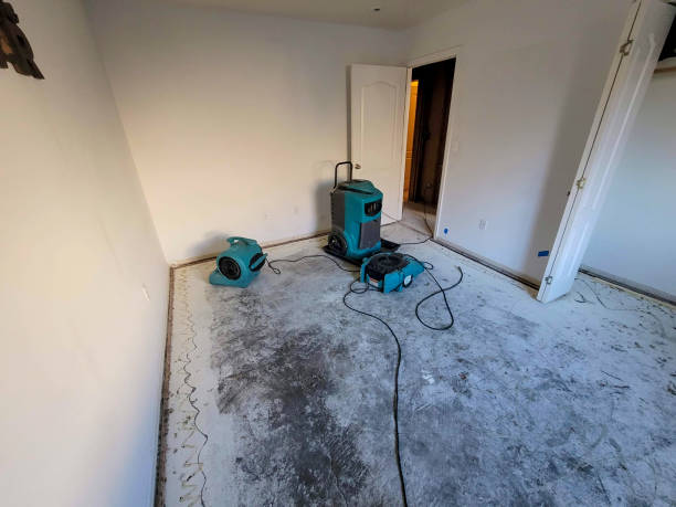 Best Basement water damage restoration  in Covington, VA