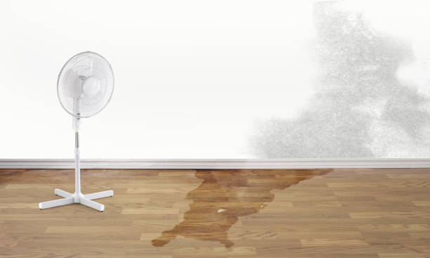 Sewage cleanup and water damage restoration in Covington, VA