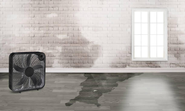 Trusted Covington, VA Water damage restoration Experts
