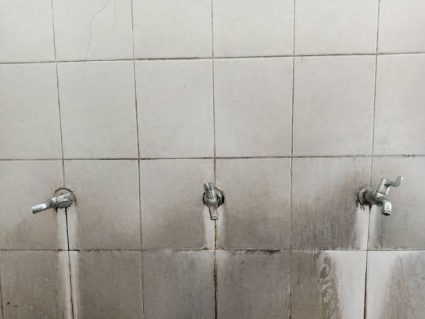 Best Sewage cleanup and water damage restoration  in Covington, VA
