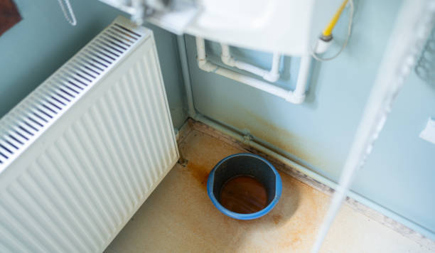 Best Flood restoration services  in Covington, VA